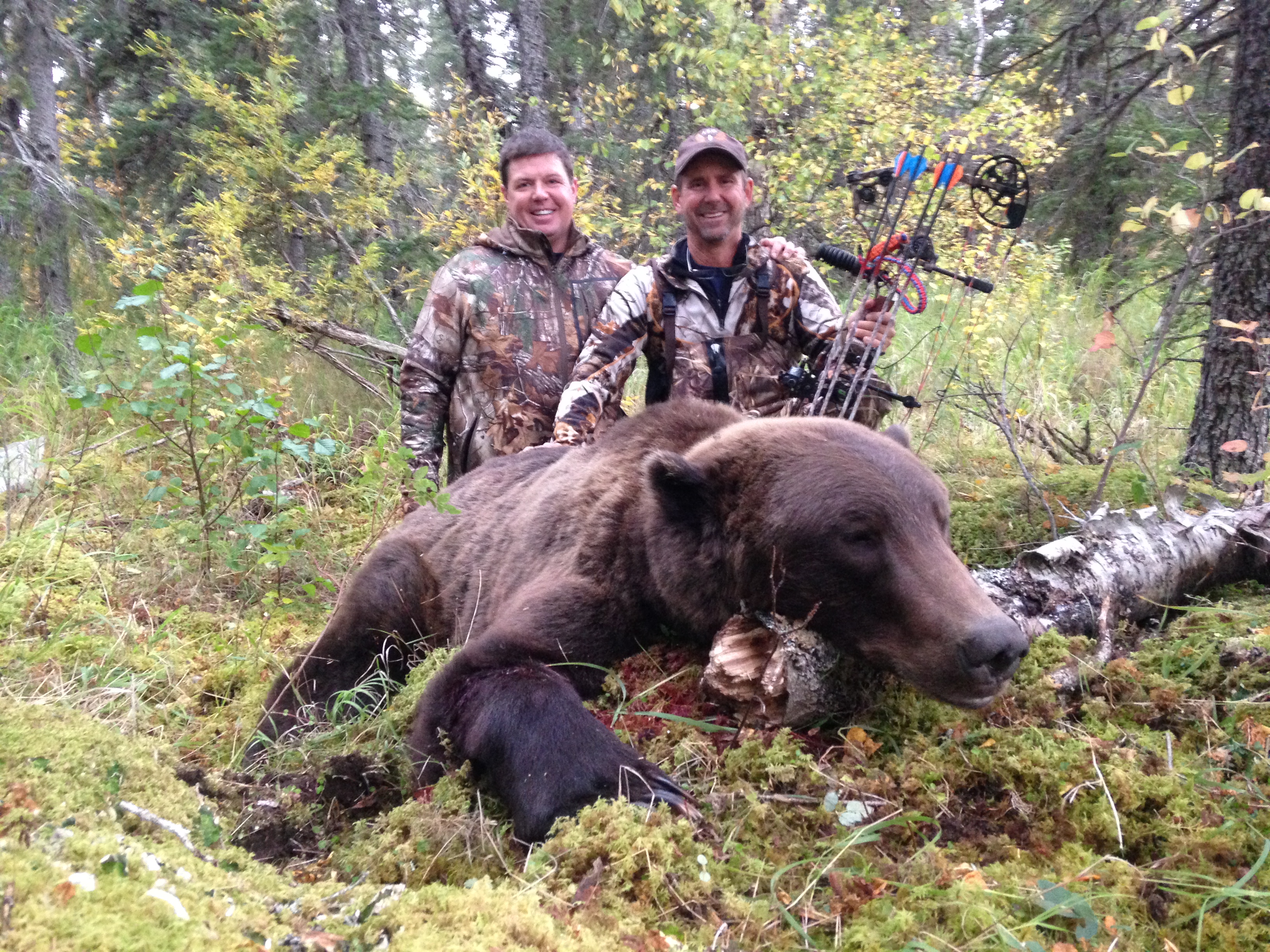 bear hunting guided trips