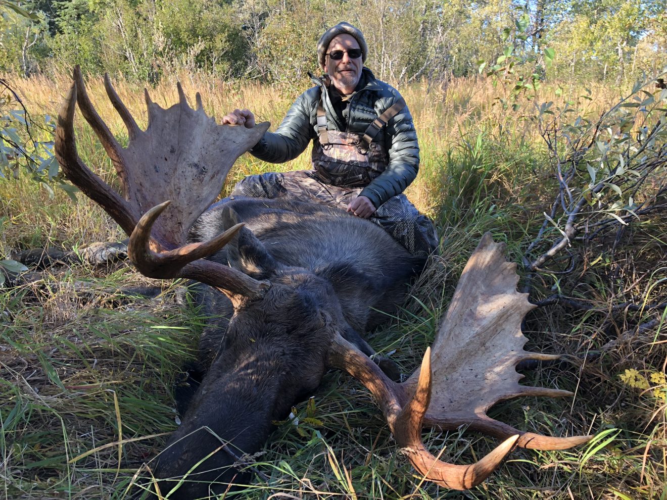 guided-alaska-moose-hunt-huge-alaska-trophy-moose-2021