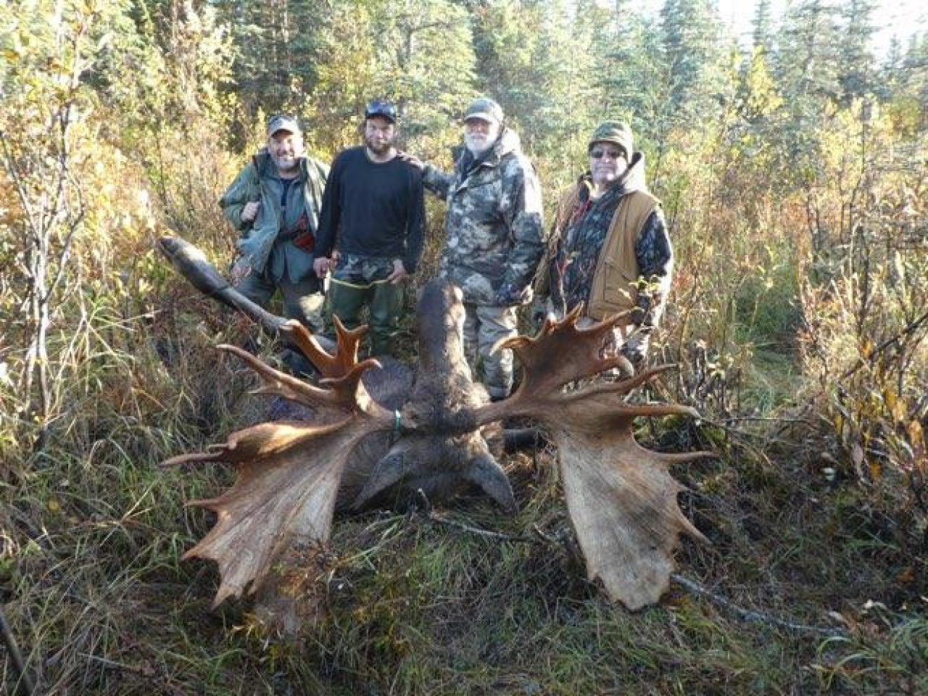 Guided Alaska Moose Hunt Huge Alaska Trophy Moose 2021
